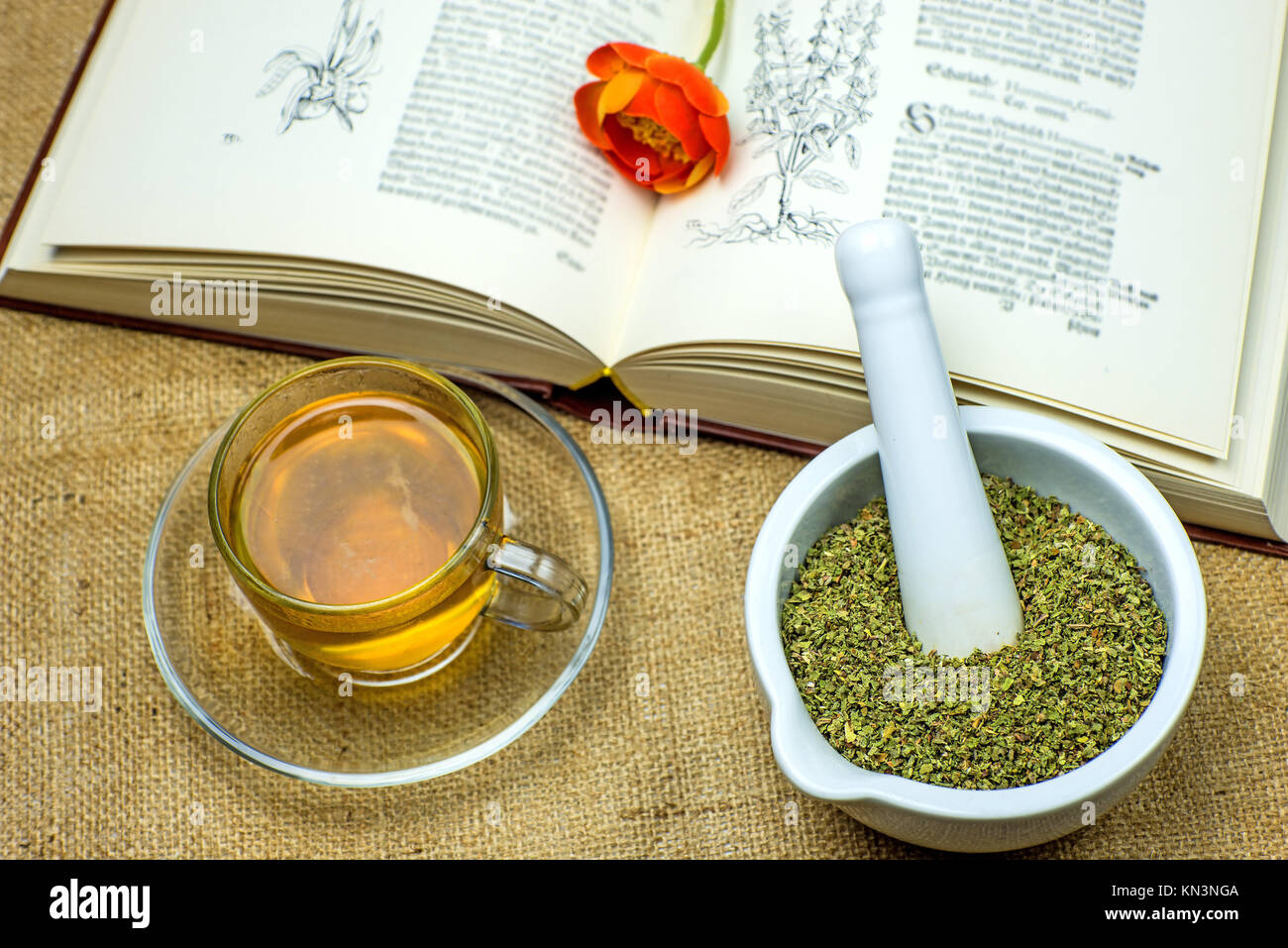Rockrose tea with medieval textbook. Stock Photo