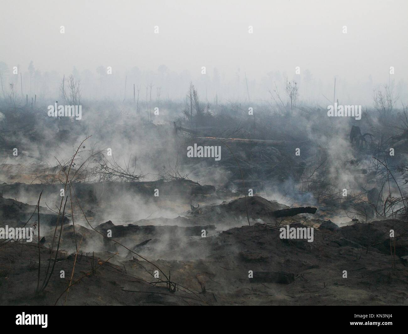 Burning peat swamp hires stock photography and images Alamy