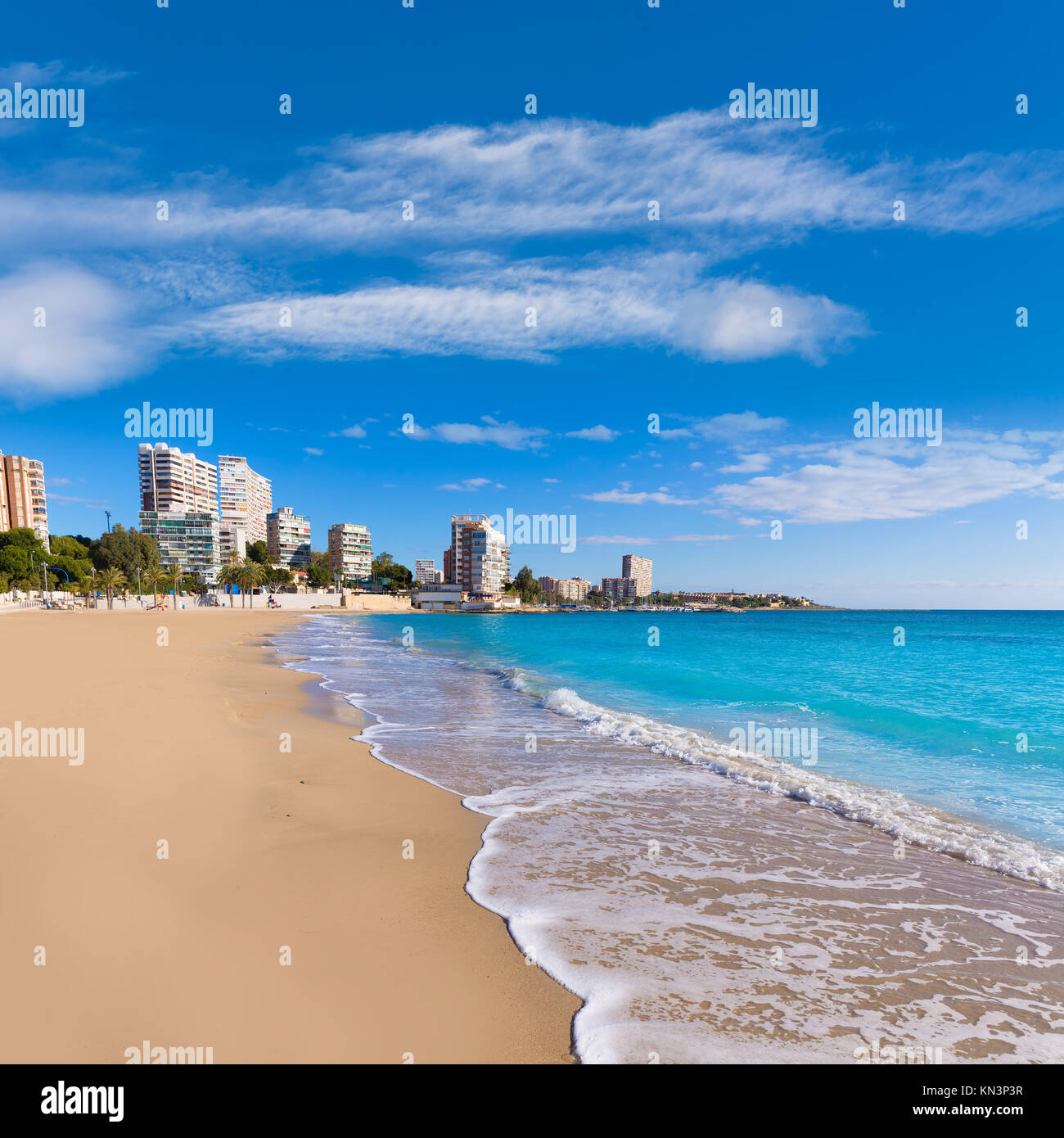 Alicante San Juan beach of La Albufereta with palms trees in