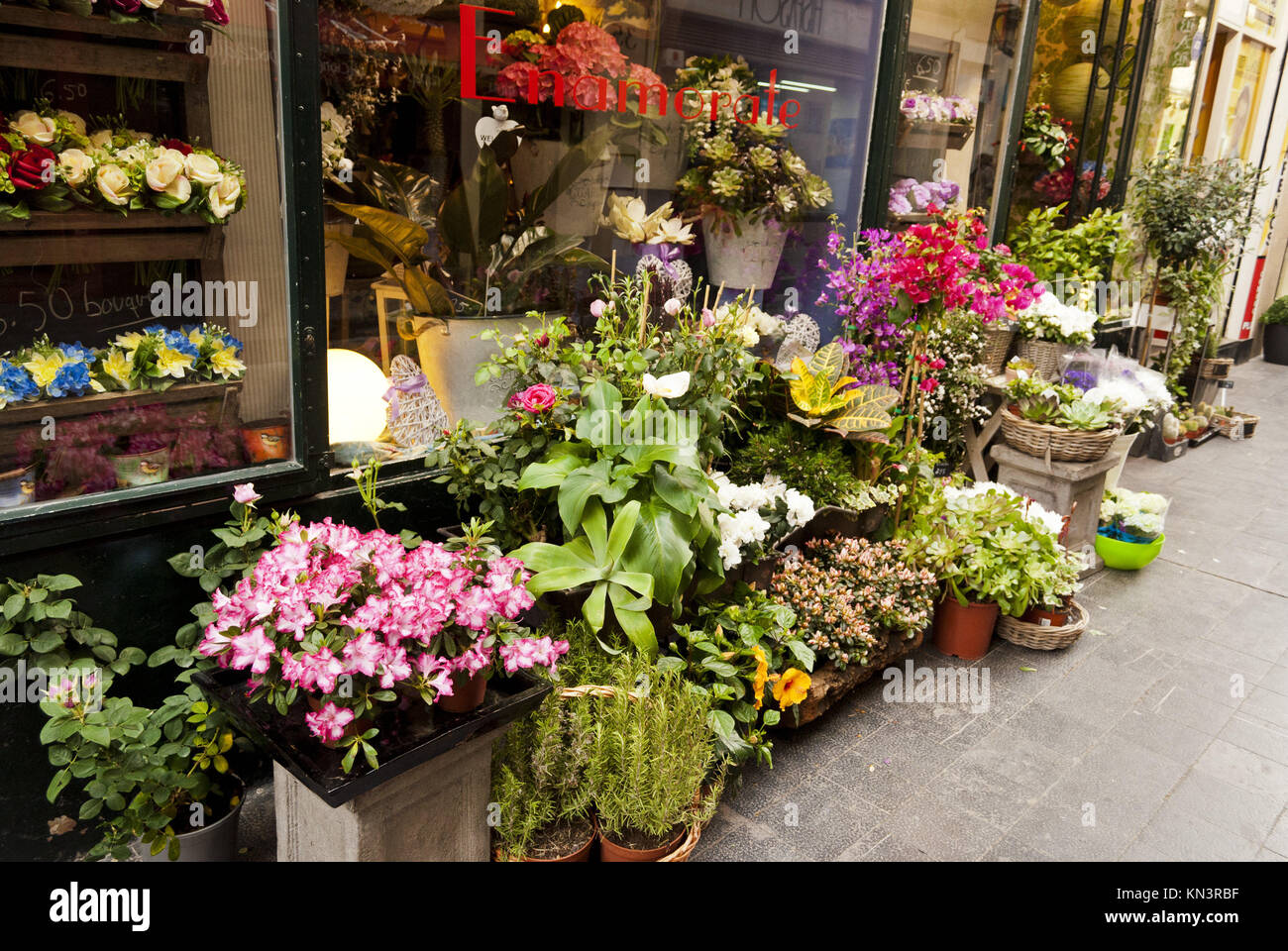Flower shop in a street in Zaragoza, Aragón, Spain Stock Photo Alamy