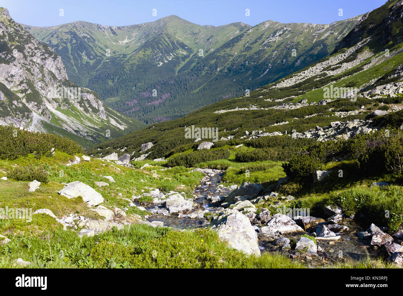Hlinska Valley, Vysoke Tatry (High Tatras), Slovakia. Stock Photo