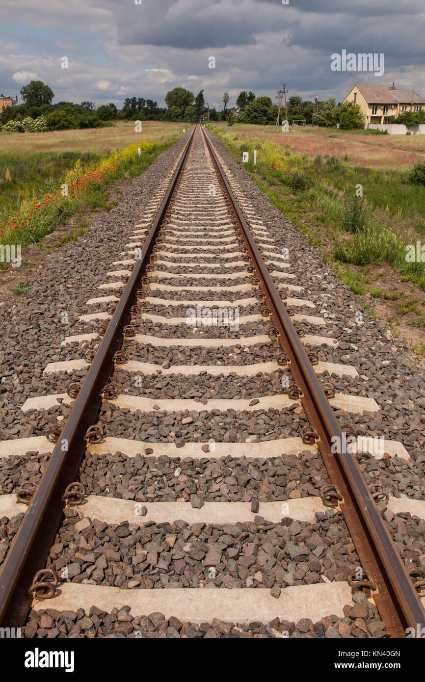 Perspective, vanishing point view of railroad tracks in the summer