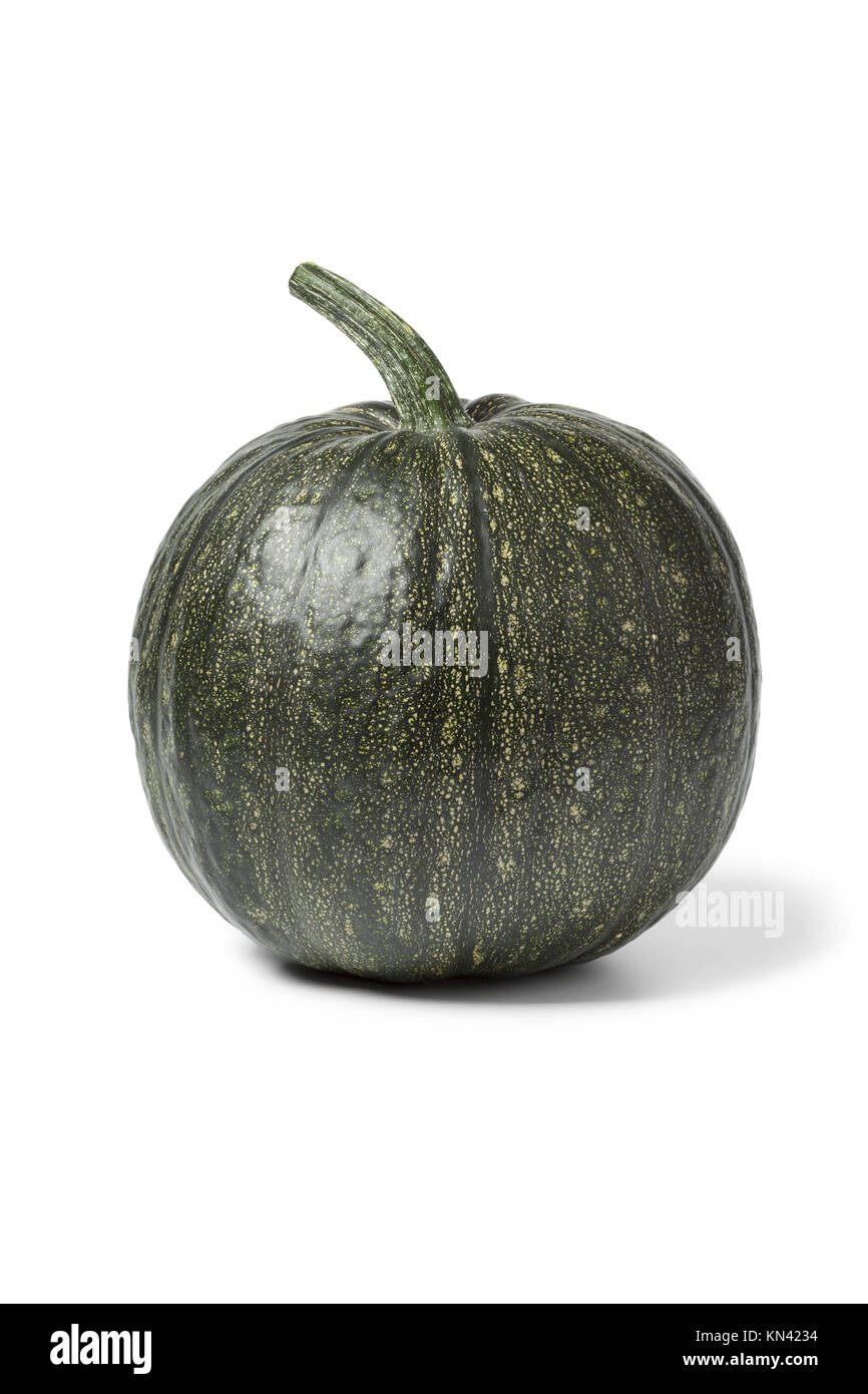 Whole green Lady Godiva pumpkin on white background Stock Photo Alamy