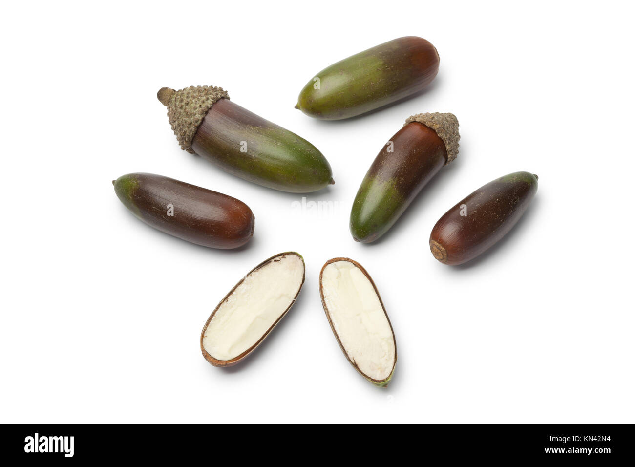 Fresh Moroccan oak nuts on white background Stock Photo Alamy