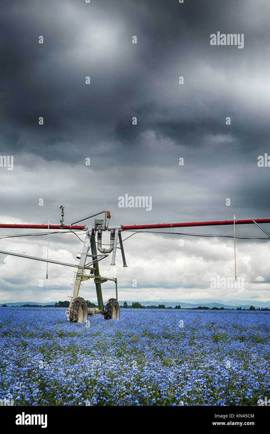 Moody sky over a field with an agriculture sprinkler in Mount Angel