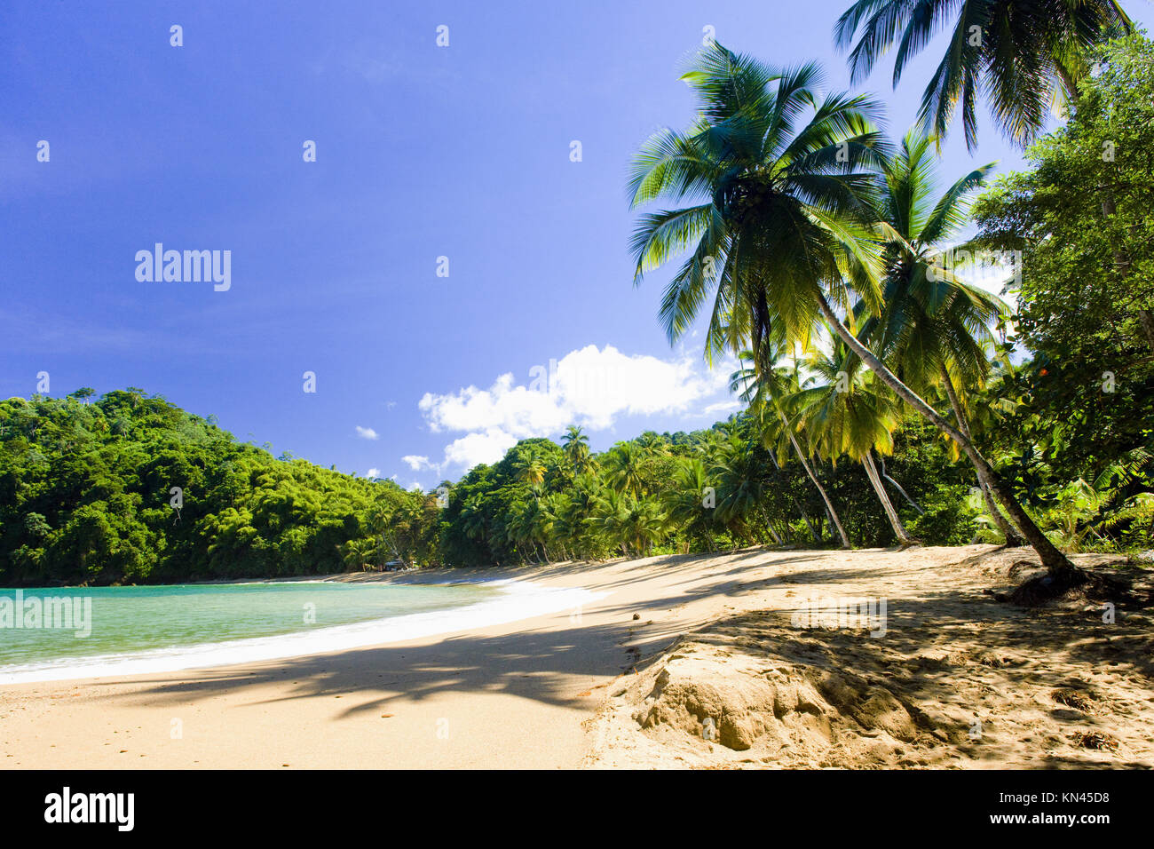 Englishman's Bay, Tobago Stock Photo Alamy
