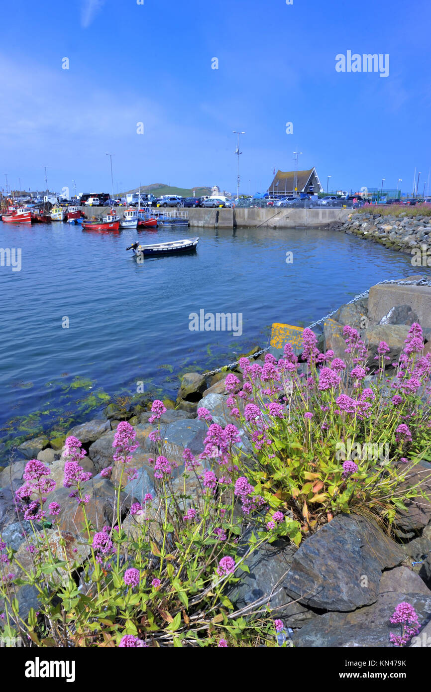 Fishing boats in Howth harbor county Dublin, Ireland Stock Photo Alamy