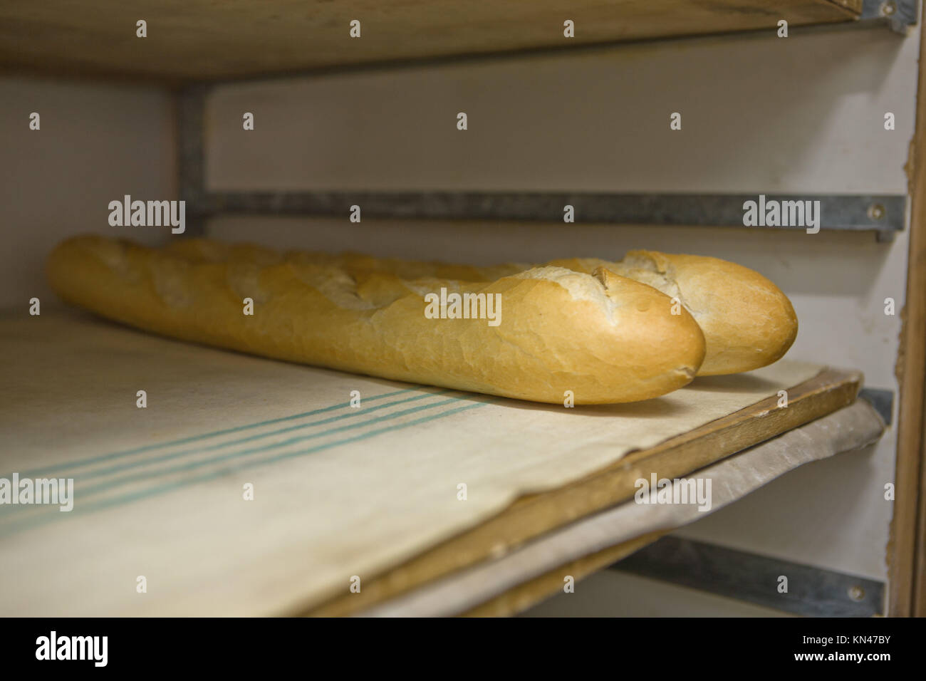 Rows of bread loaves in racks in a bakery. Baguettes, Spain. Stock Photo