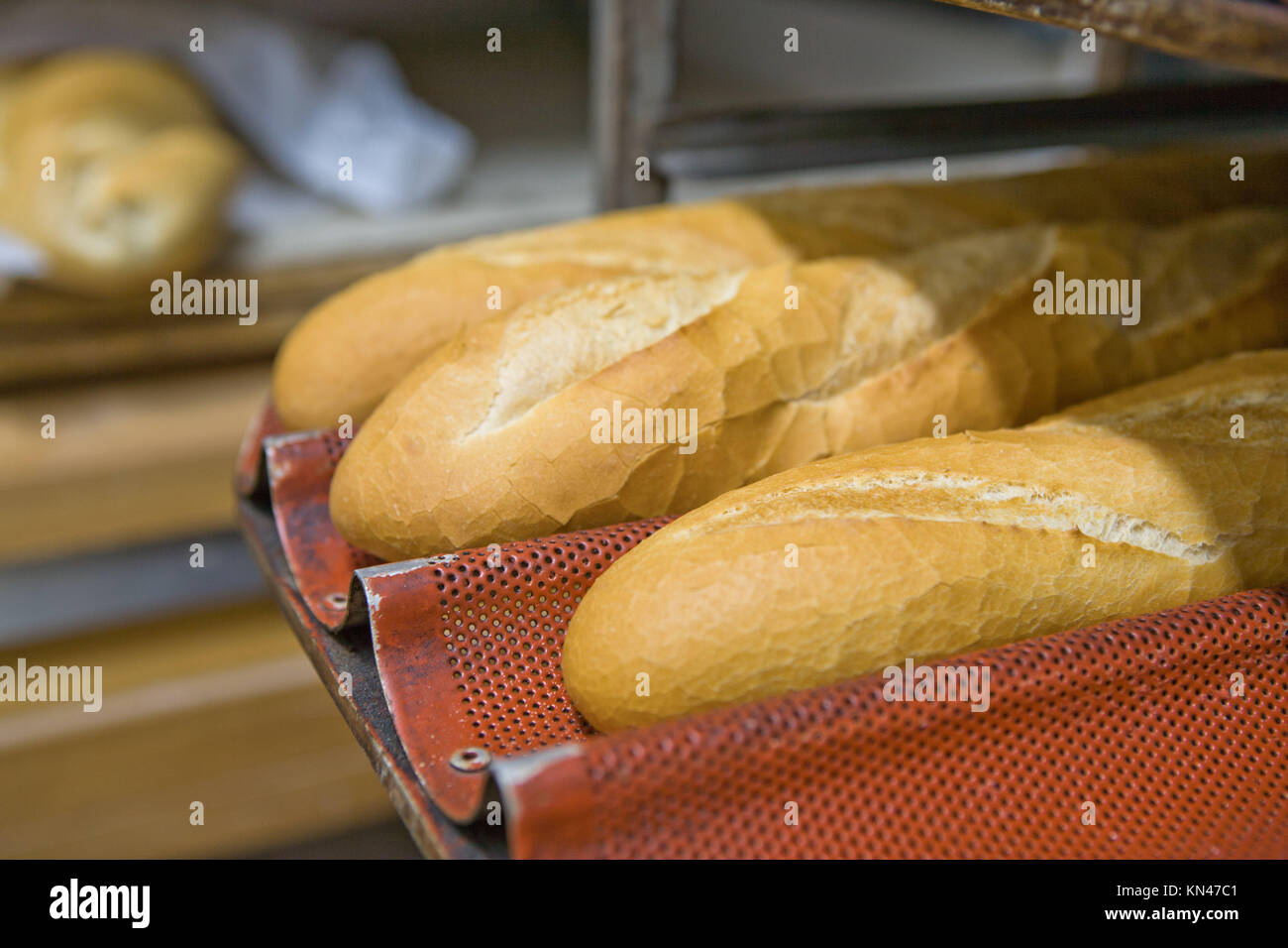 Baguette rows of bread loaves in racks in a bakery. Stock Photo