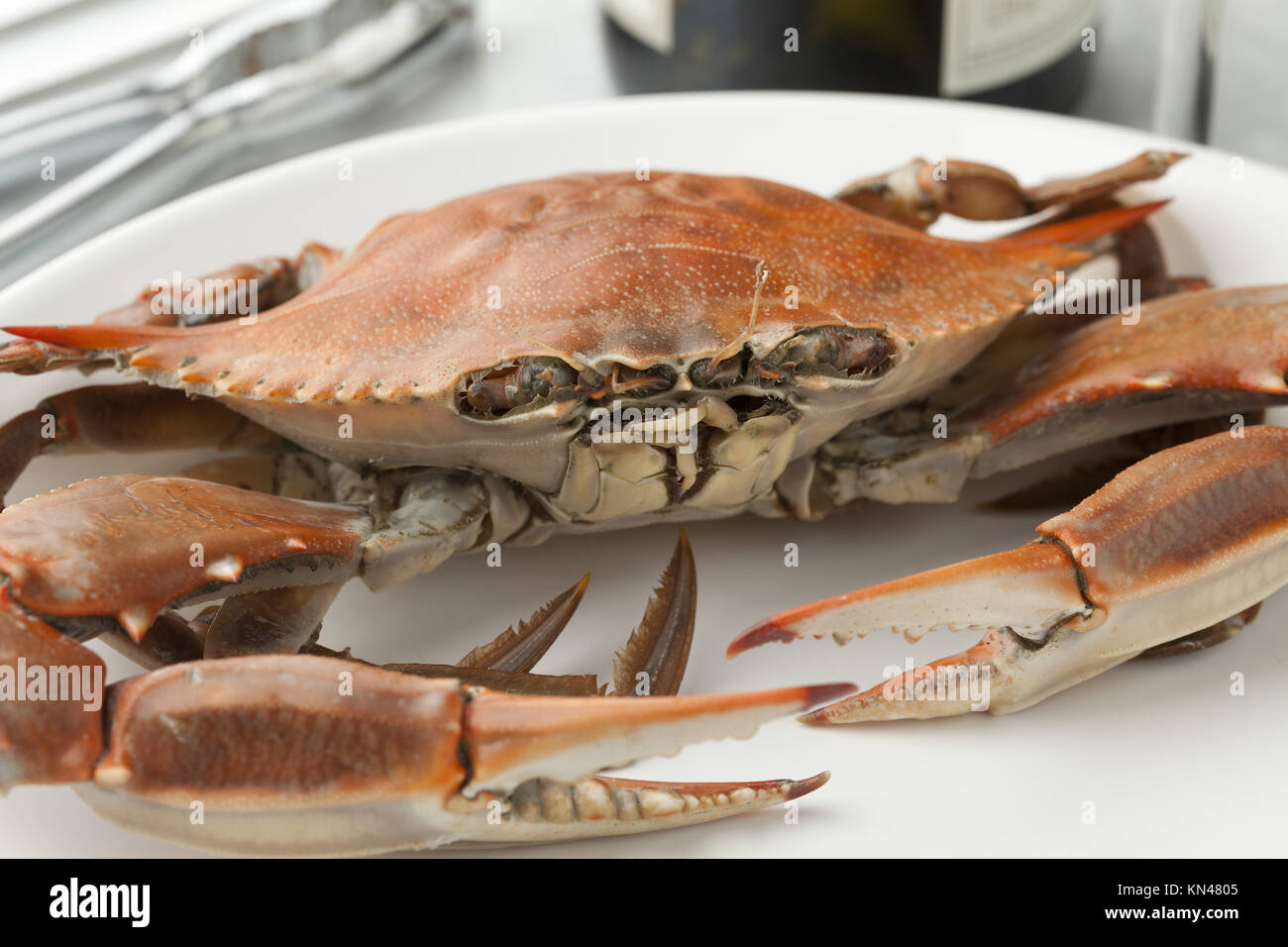 Cooked blue crab on a plate Stock Photo - Alamy