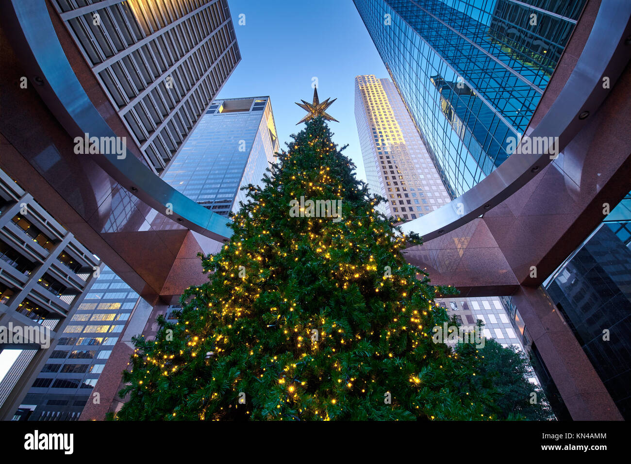Tall Decorated Christmas Tree Overshadowed by Tall Downtown Skyscrapers