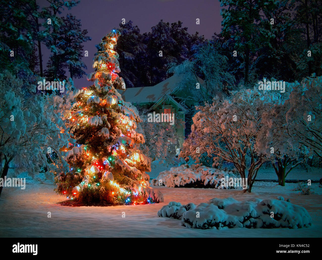 Christmas Tree Snow Lights Outdoors Stock Photos & Christmas Tree Snow