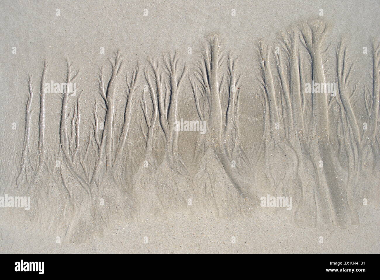 Sand Art, Receeding Tide Patterns in the sand Stock Photo