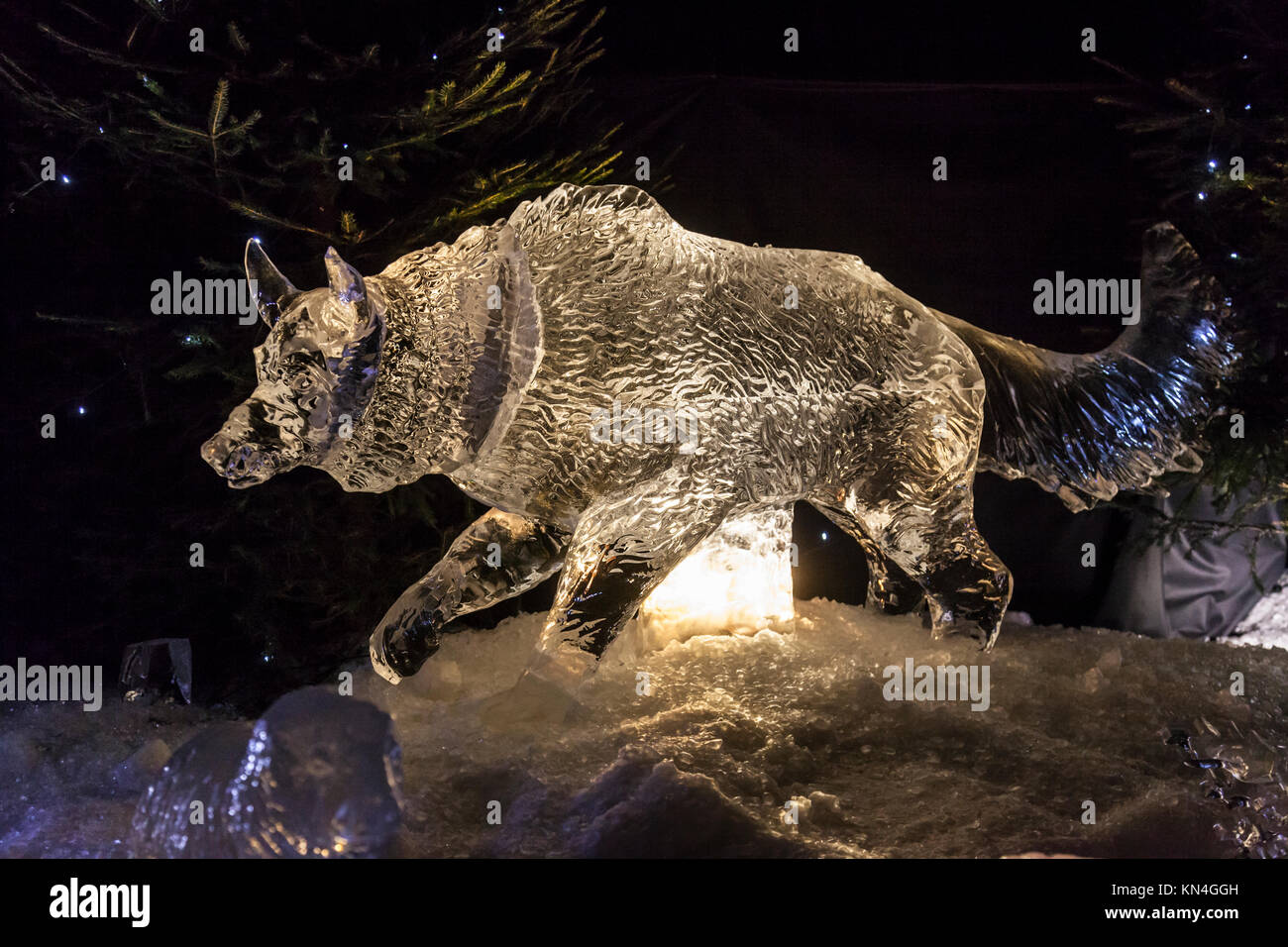 A prowling carved out of ice in The Ice Adventure: a Journey through Frozen Scotland, inEdinburgh's Christmas event 2017 in George St.  Scotland, UK. Stock Photo