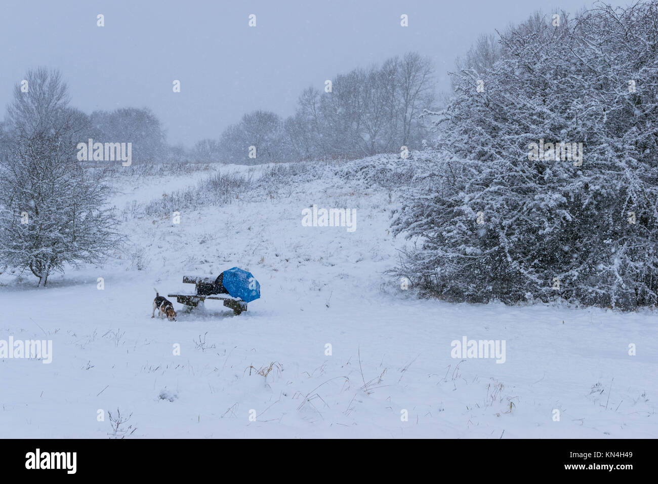 wooden bench chair in a park completely cover with snow after a blizzard during the winter christmas holidays, a backpack bag, umbrella, camera tripod and a small bag on the chair. Stock Photo