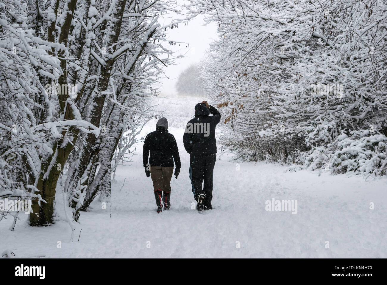 a couple walking in the forest in a heavy snowfall day Stock Photo - Alamy