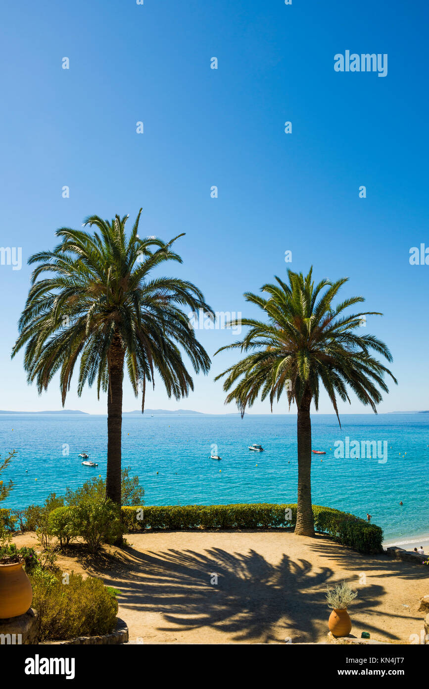 Viewing terrace with palm trees, Rayol-Canadel-sur-Mer, Var, Cote d' Azur, South of France, France Stock Photo