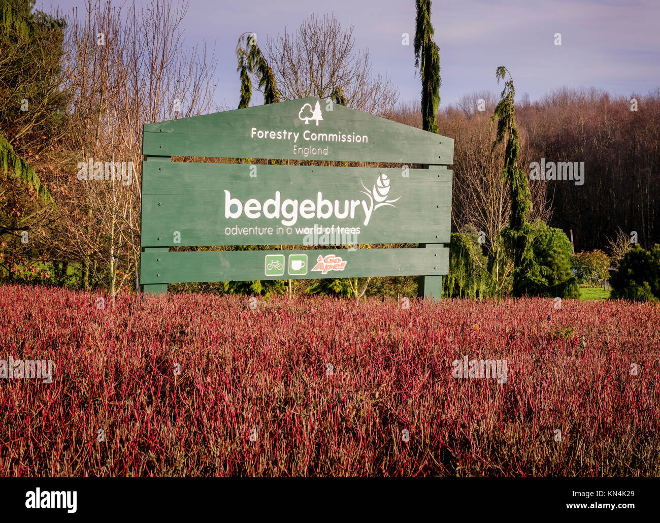 The entrance to the Bedgebury National and Forest on the Sussex