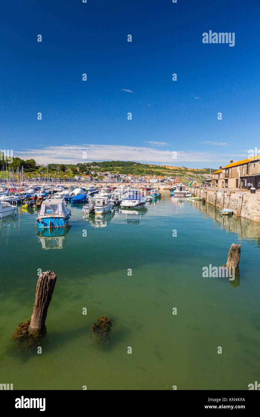 High tide and colourful boats in the harbour at Lyme Regis on the
