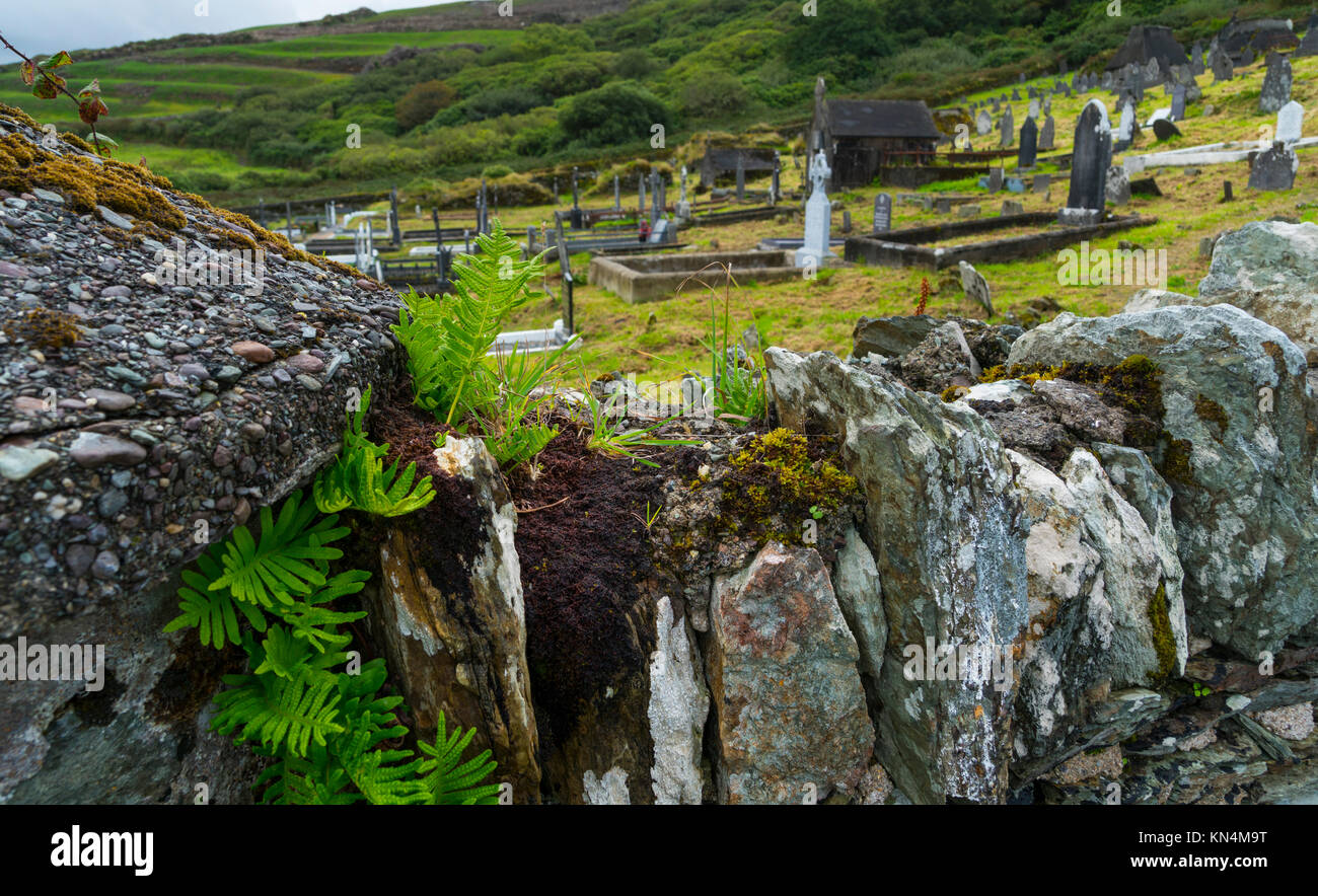 Knightstown Graveyard, Valentia Island, Iveragh Peninsula, County Kerry