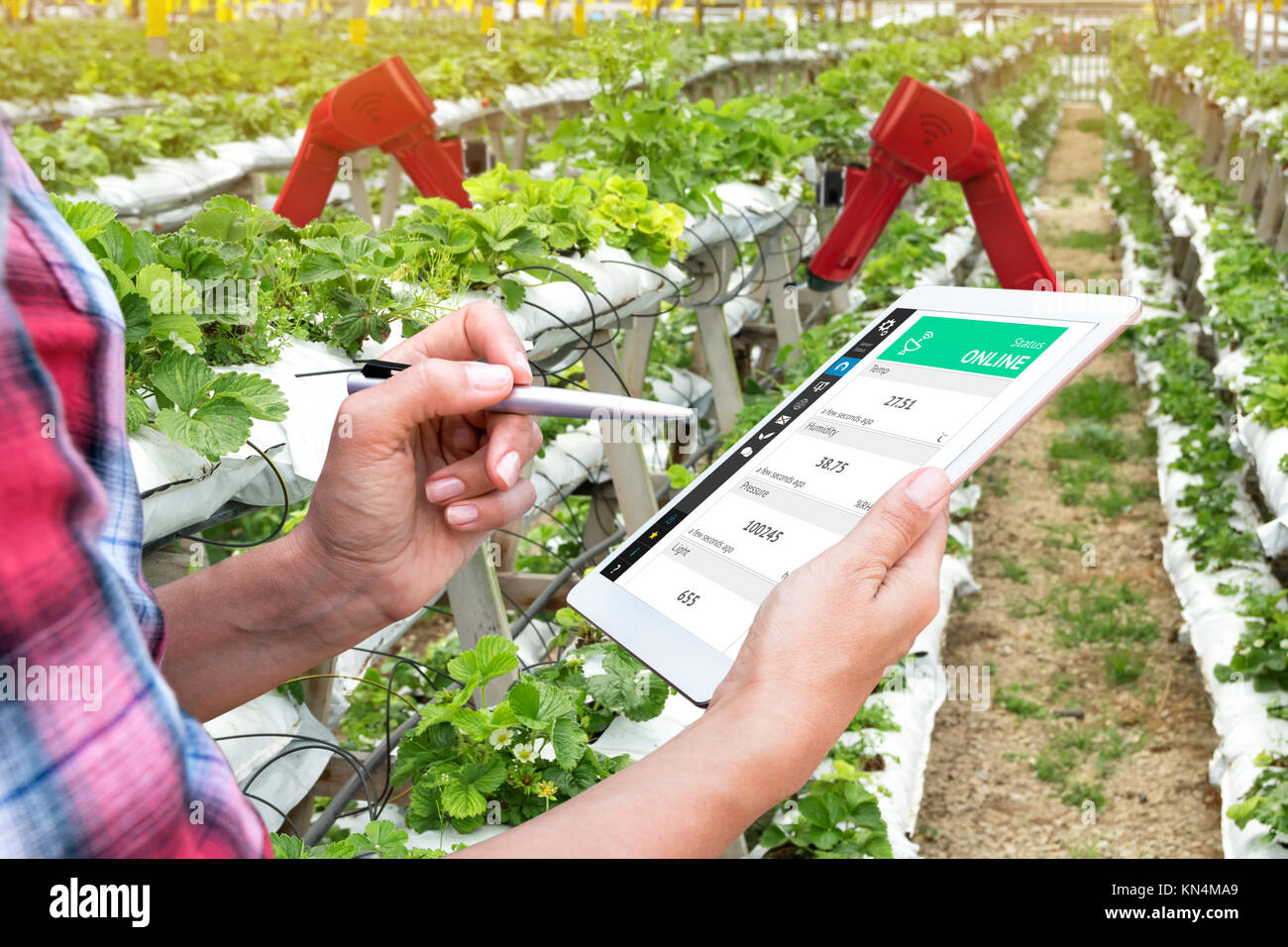 Smart agriculture, vertical farm , sensor technology concept. Farmer