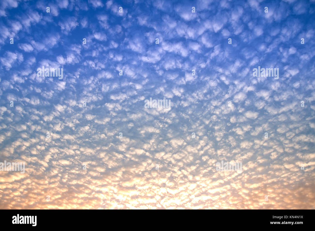 blue sky and cloud in the evening time Stock Photo - Alamy