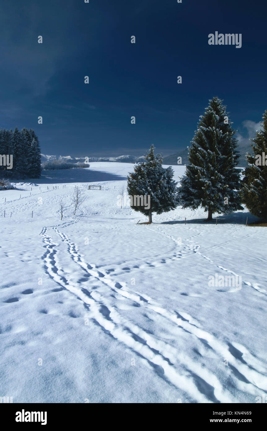 Asiago, Veneto. Italy Stock Photo - Alamy