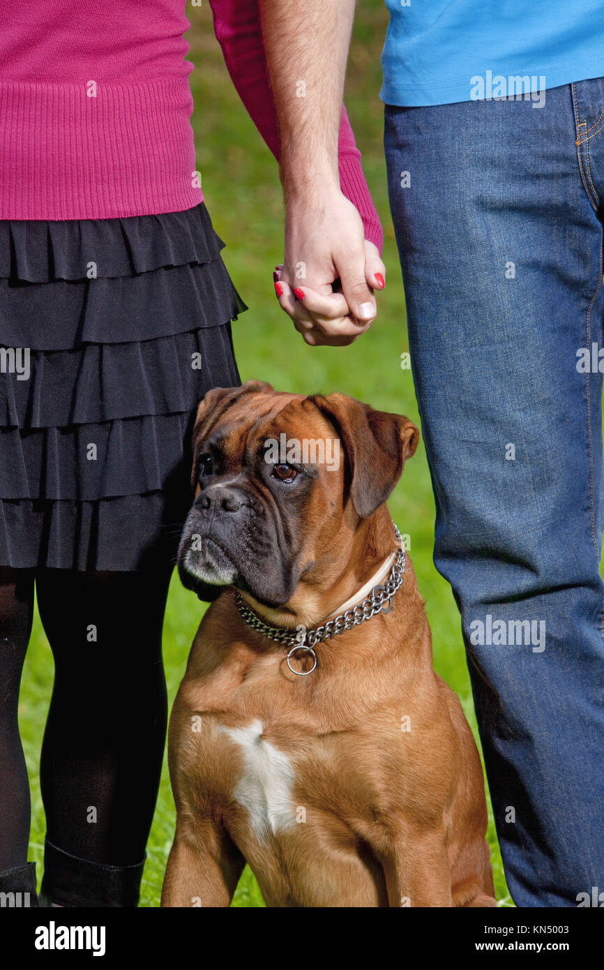 Young Couple with their Dog Holding Hands Stock Photo Alamy