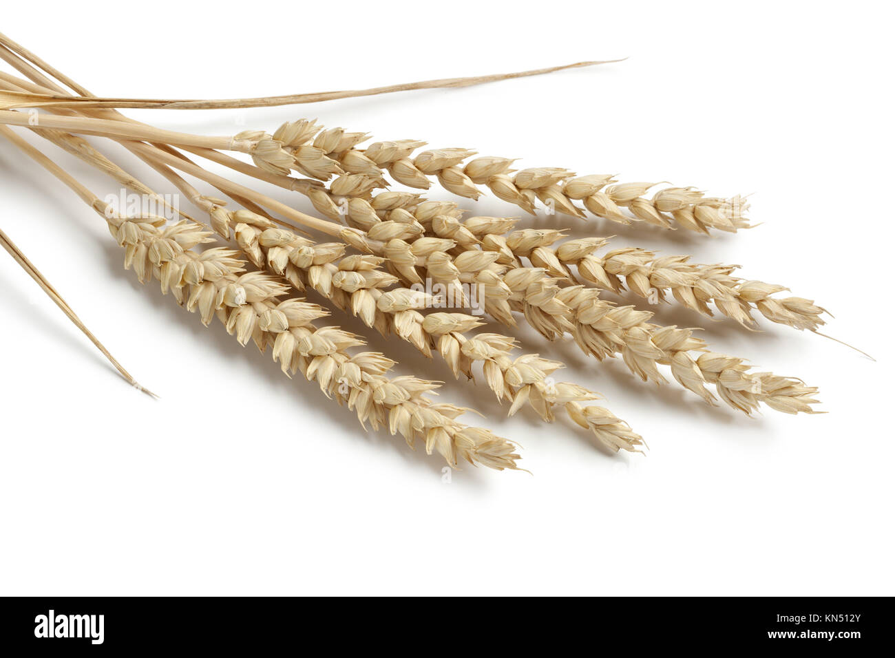 Dried white wheat hi-res stock photography and images - Alamy