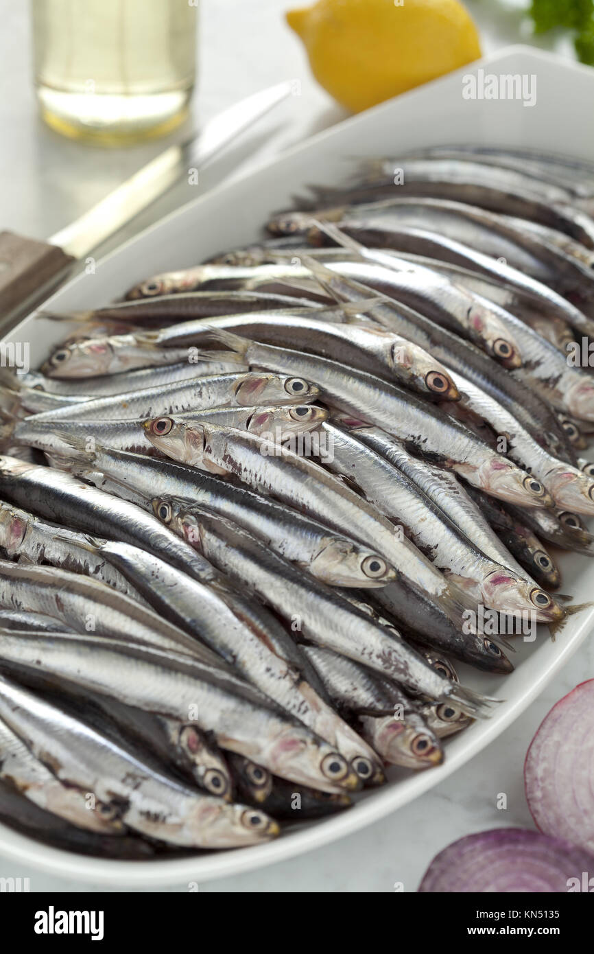 Fresh European anchovies on a dish ready to cook Stock Photo Alamy