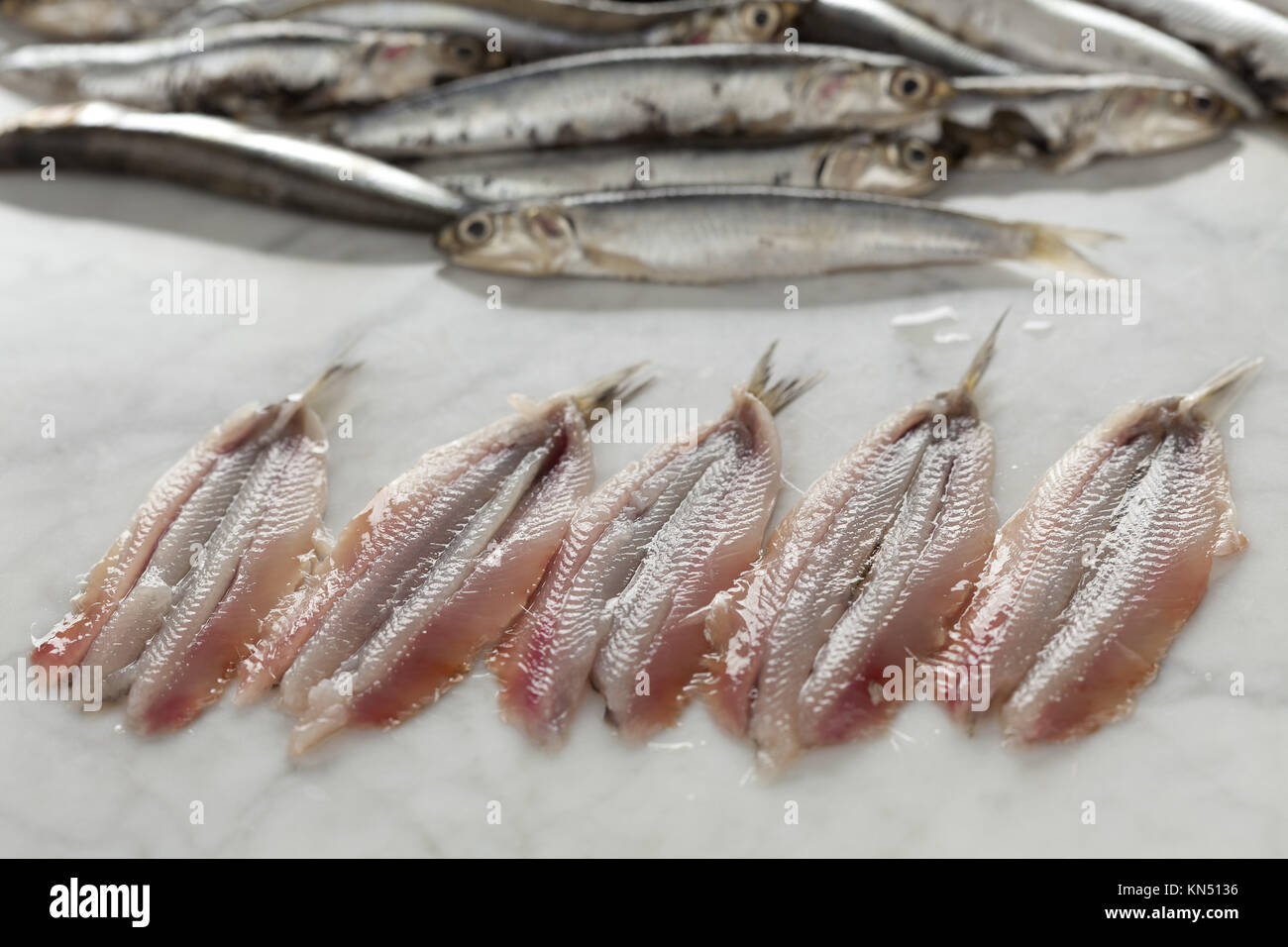 Fresh cleaned European anchovies Stock Photo Alamy
