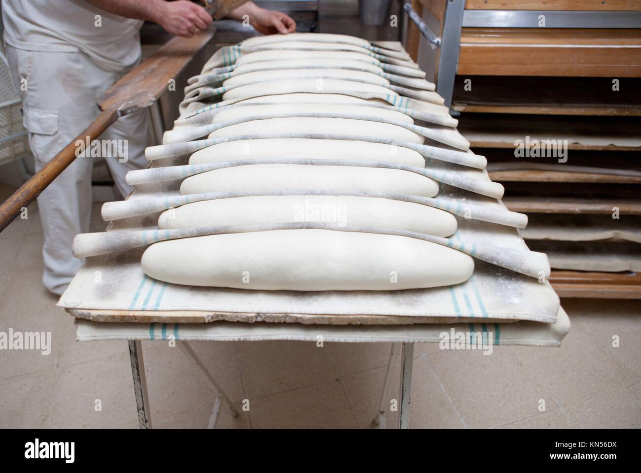 Baker putting kaiser roll dough into the oven. Manufacturing process of spanish bread. Stock Photo