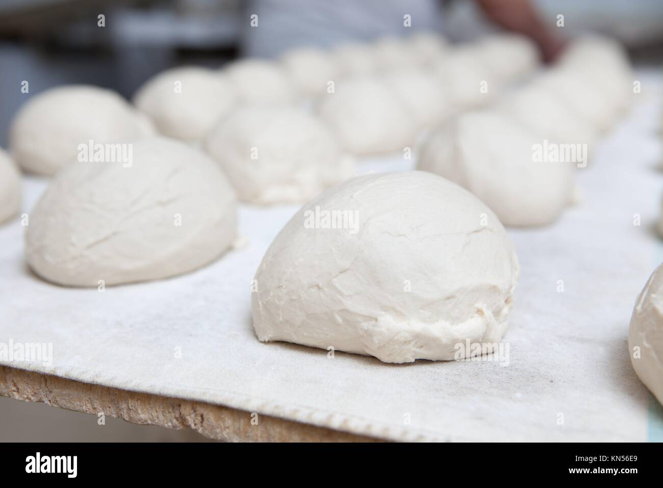 Raw pieces of bread dough before fermentation. Manufacturing process of spanish bread. Stock Photo
