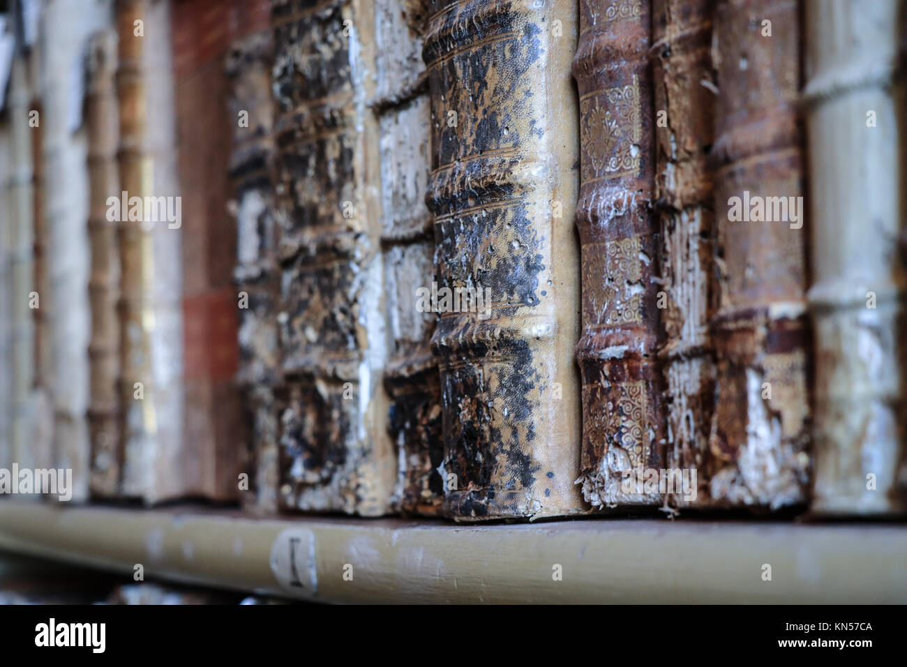 Old books on the shelves of a library Stock Photo - Alamy