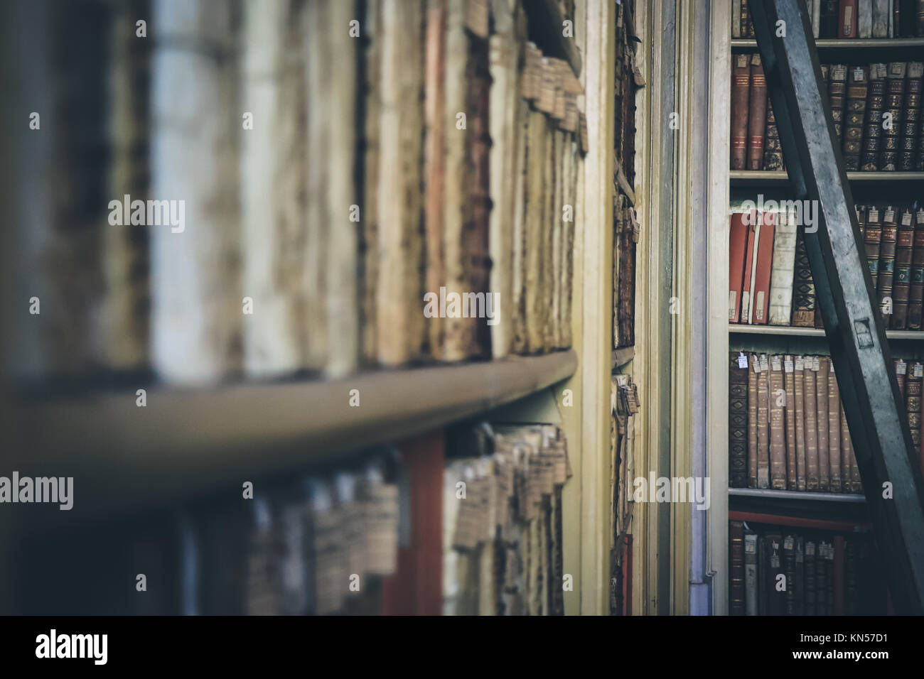 Old books on the shelves of a library Stock Photo - Alamy