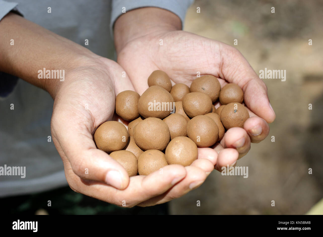 seed balls made of clay soil and seeds Stock Photo