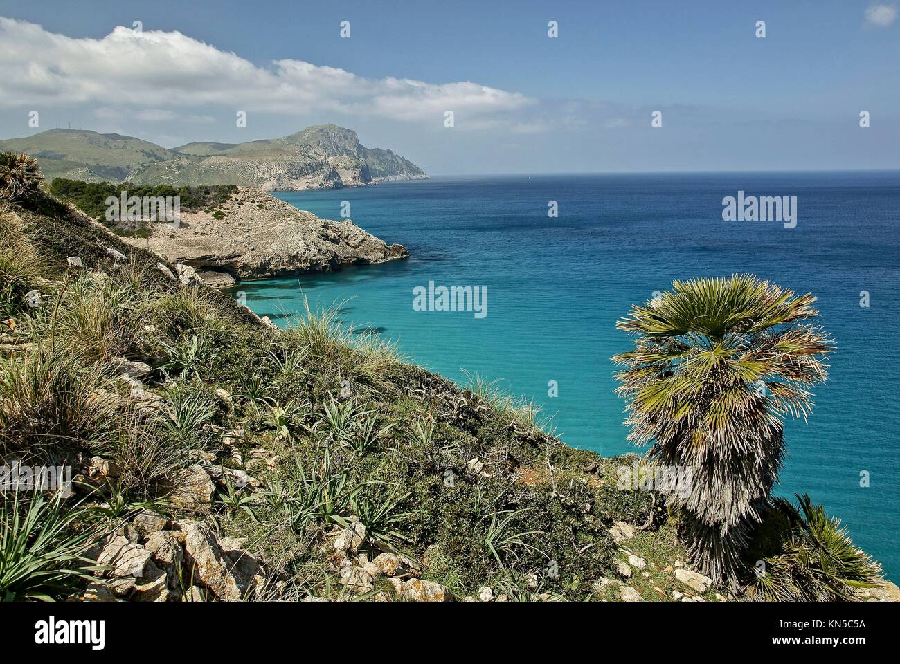 Llevant Peninsula. Arta. Mallorca. Balearic Islands. Spain. Stock Photo
