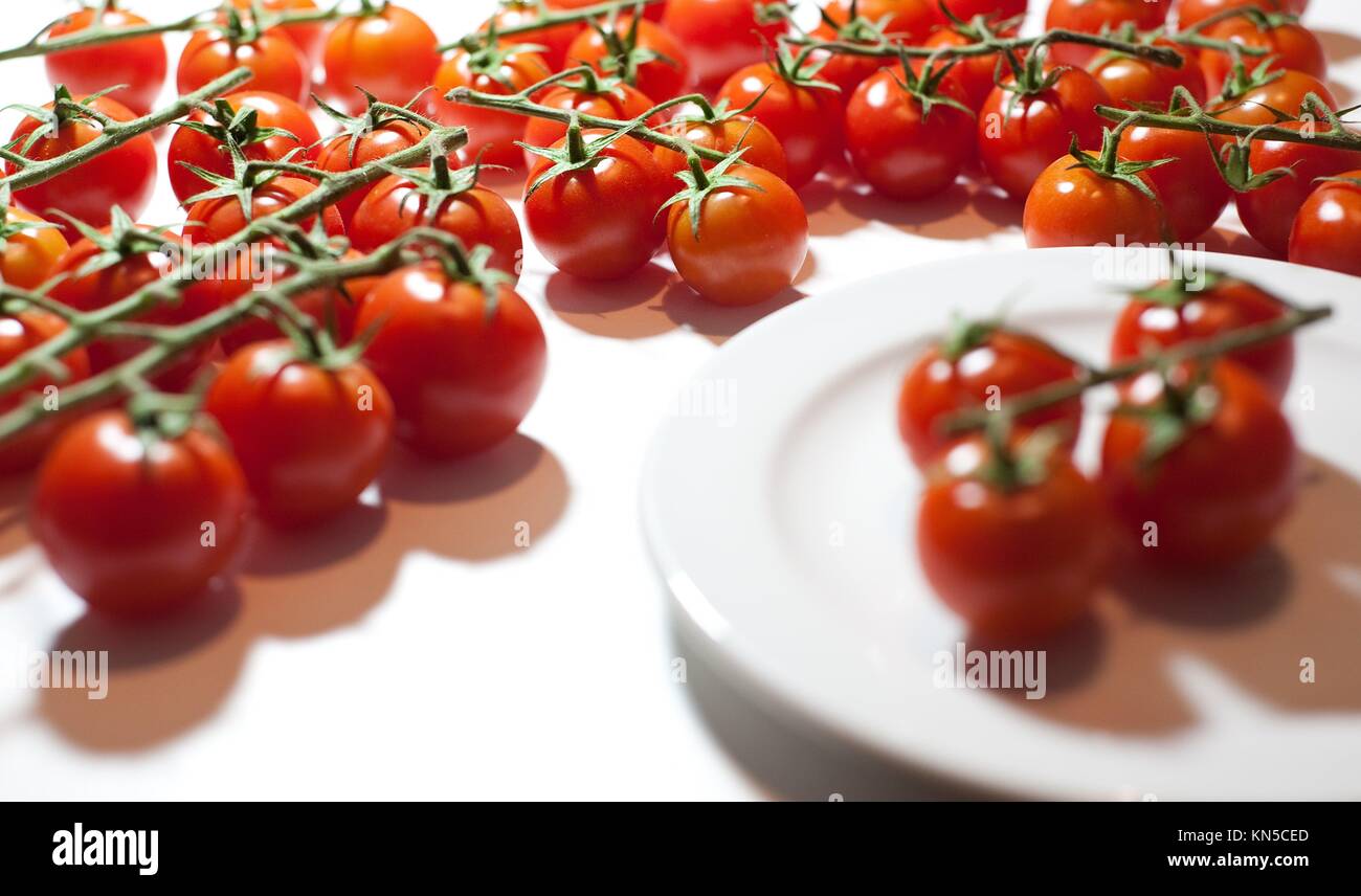Trusses of tomatoes Stock Photo - Alamy