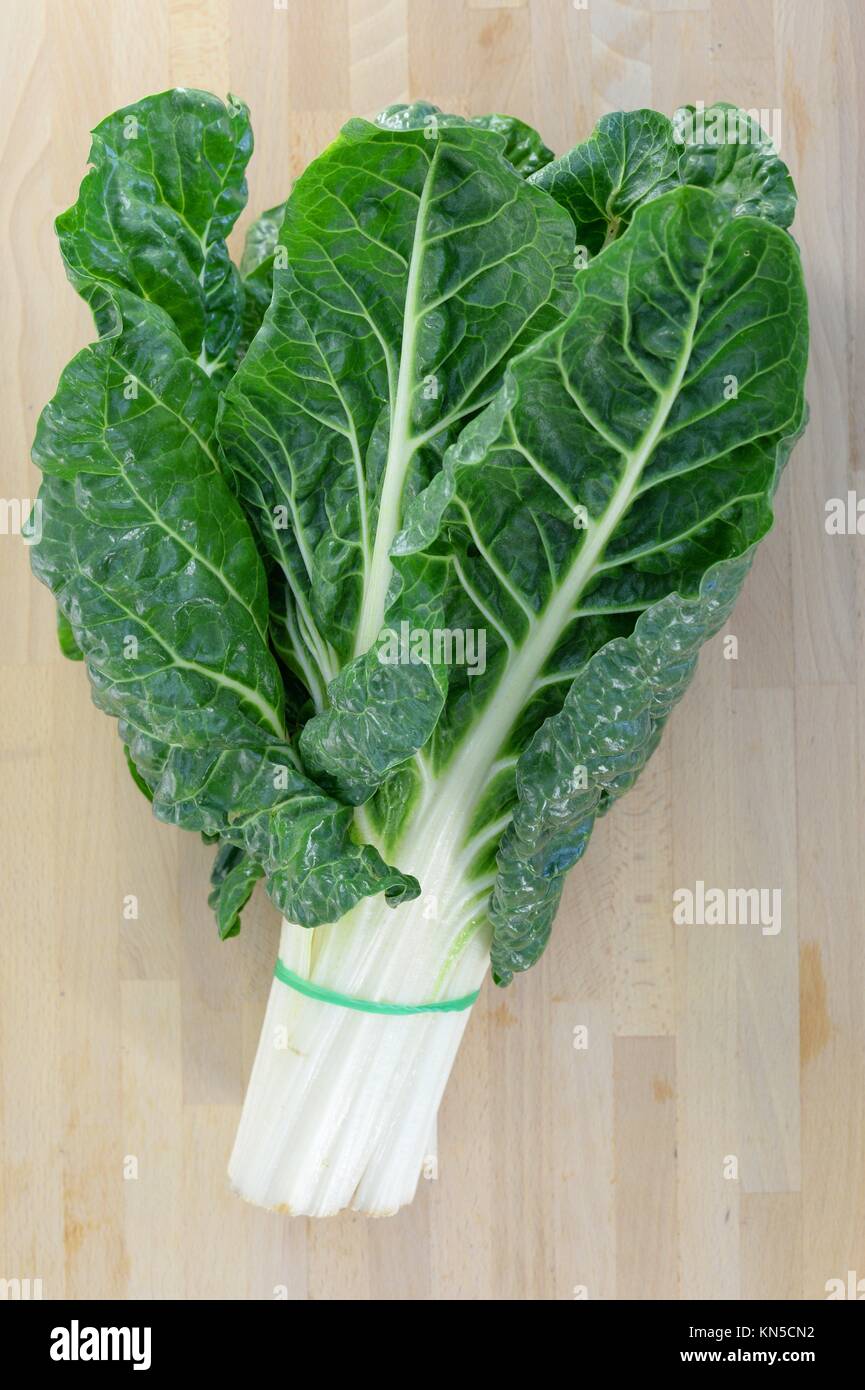 A close up shot of a bunch of spinach Stock Photo Alamy
