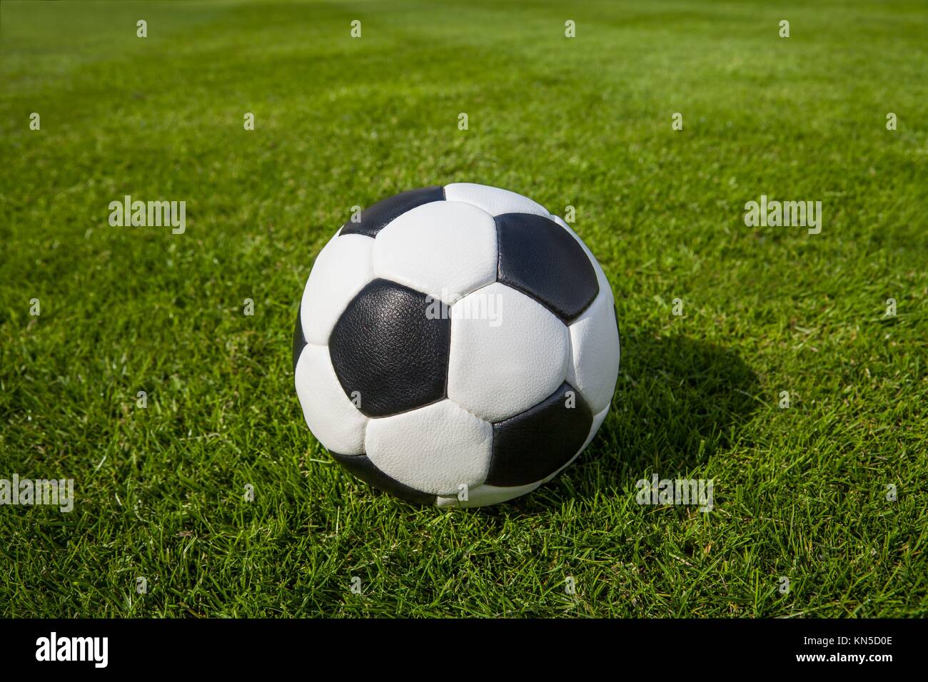 soccer ball on green maedow. Stock Photo