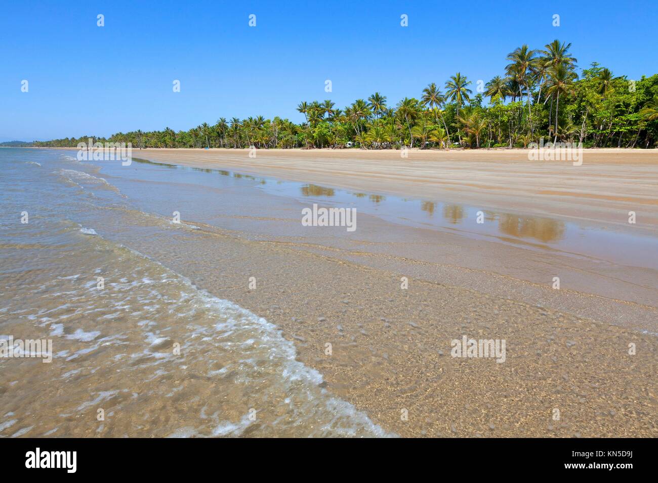 Beach with palm trees in Mission Beach,Queensland,Australia Stock Photo