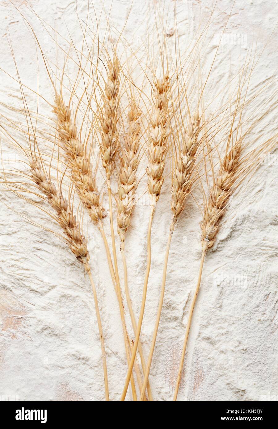 bunch of rye ears close-up. Stock Photo