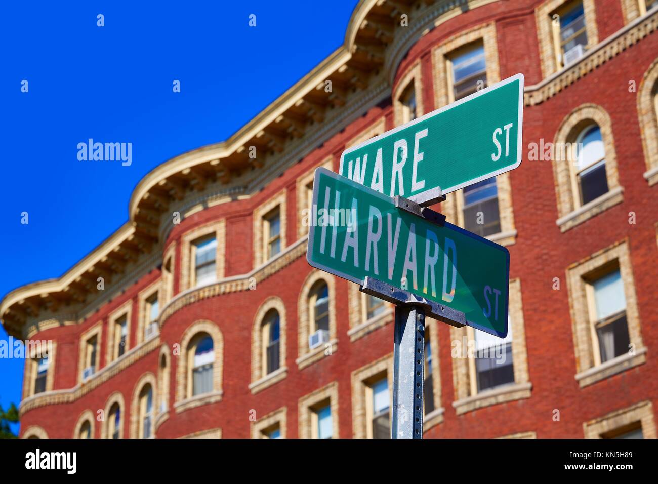 Harvard street st in Cambridge Massachusetts USA Stock Photo Alamy