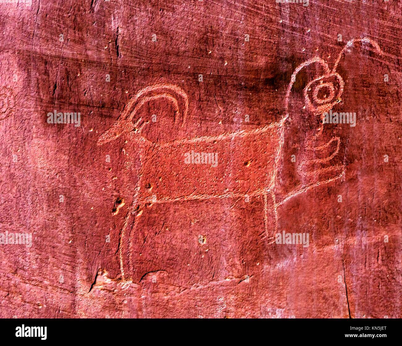 Native American Indian Fremont Sheep Goat Petroglyph Sandstone Mountain