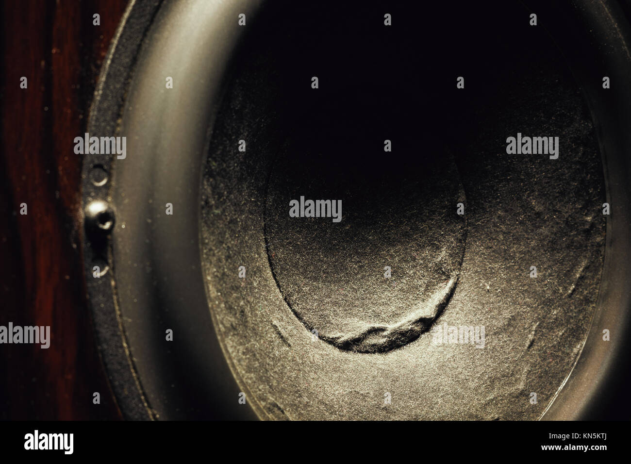 Details of speaker woofer cone, closeup view. Stock Photo