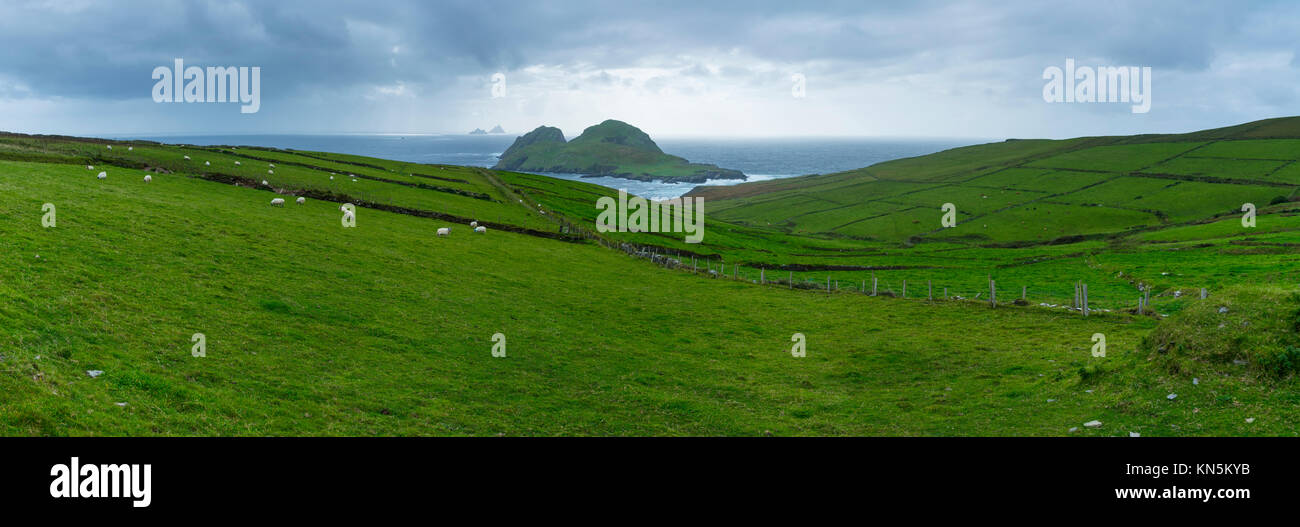Skellig Islands, Puffin Island, County Kerry, Ireland, Europe Stock Photo Alamy