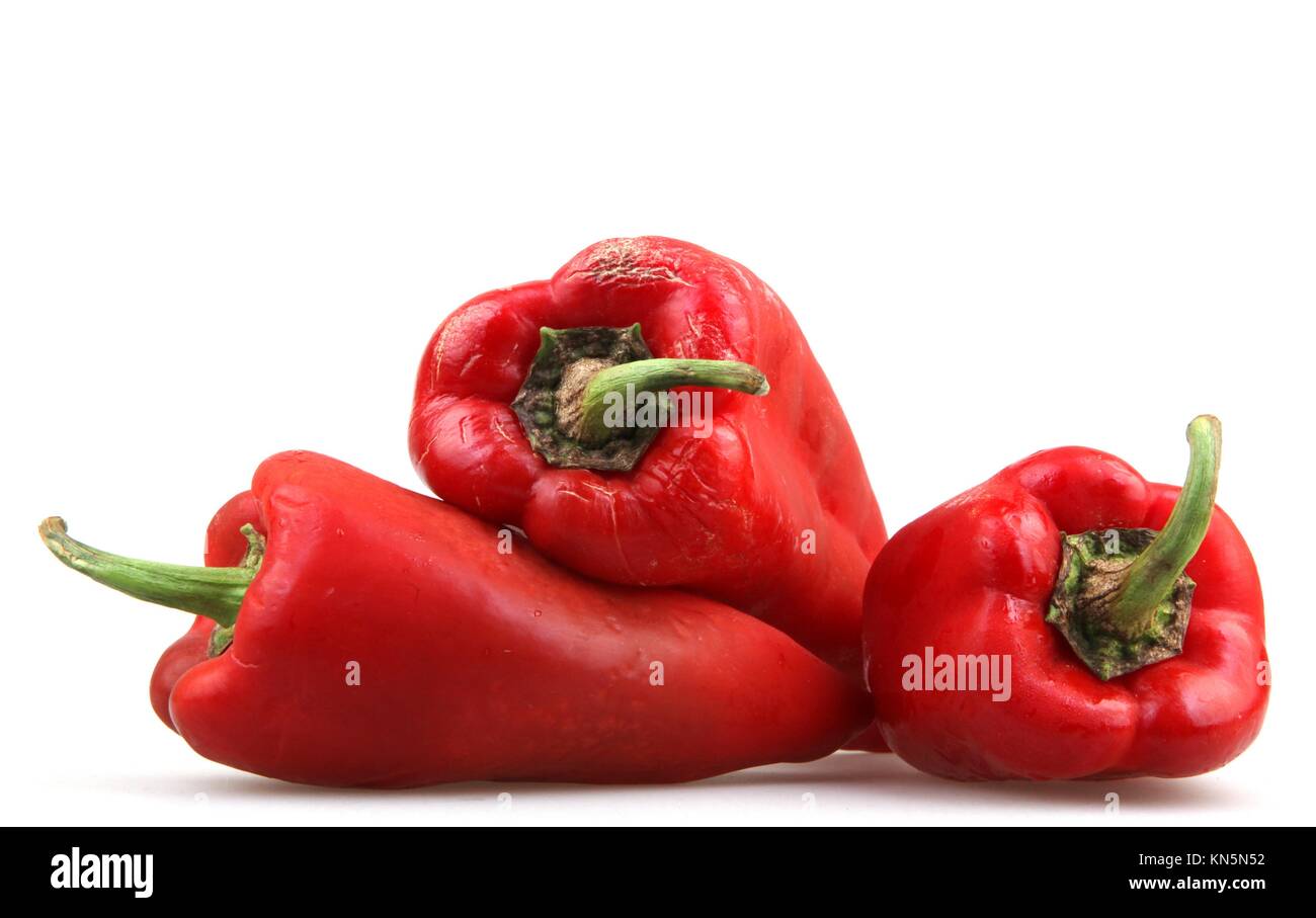 Red chili pepper Stock Photo Alamy
