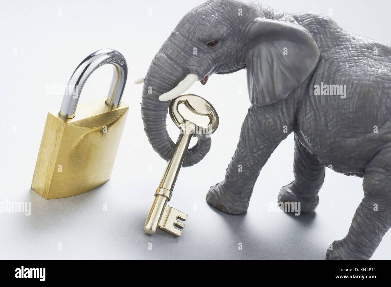Elephant figurine with key and lock Stock Photo Alamy