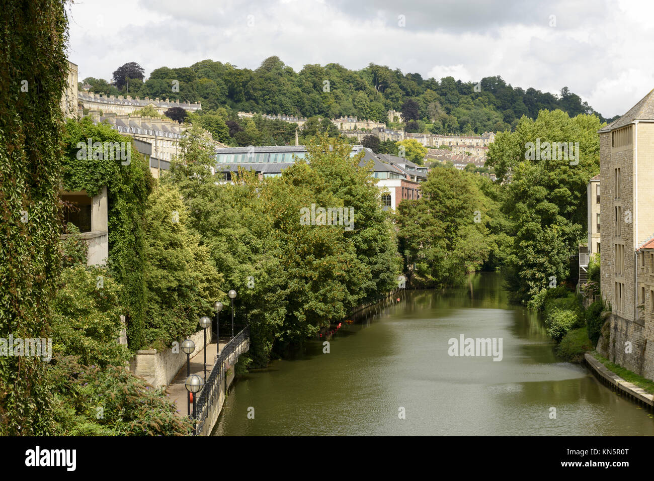 cityscape with river Avon, Bath, view of green enbankments of river