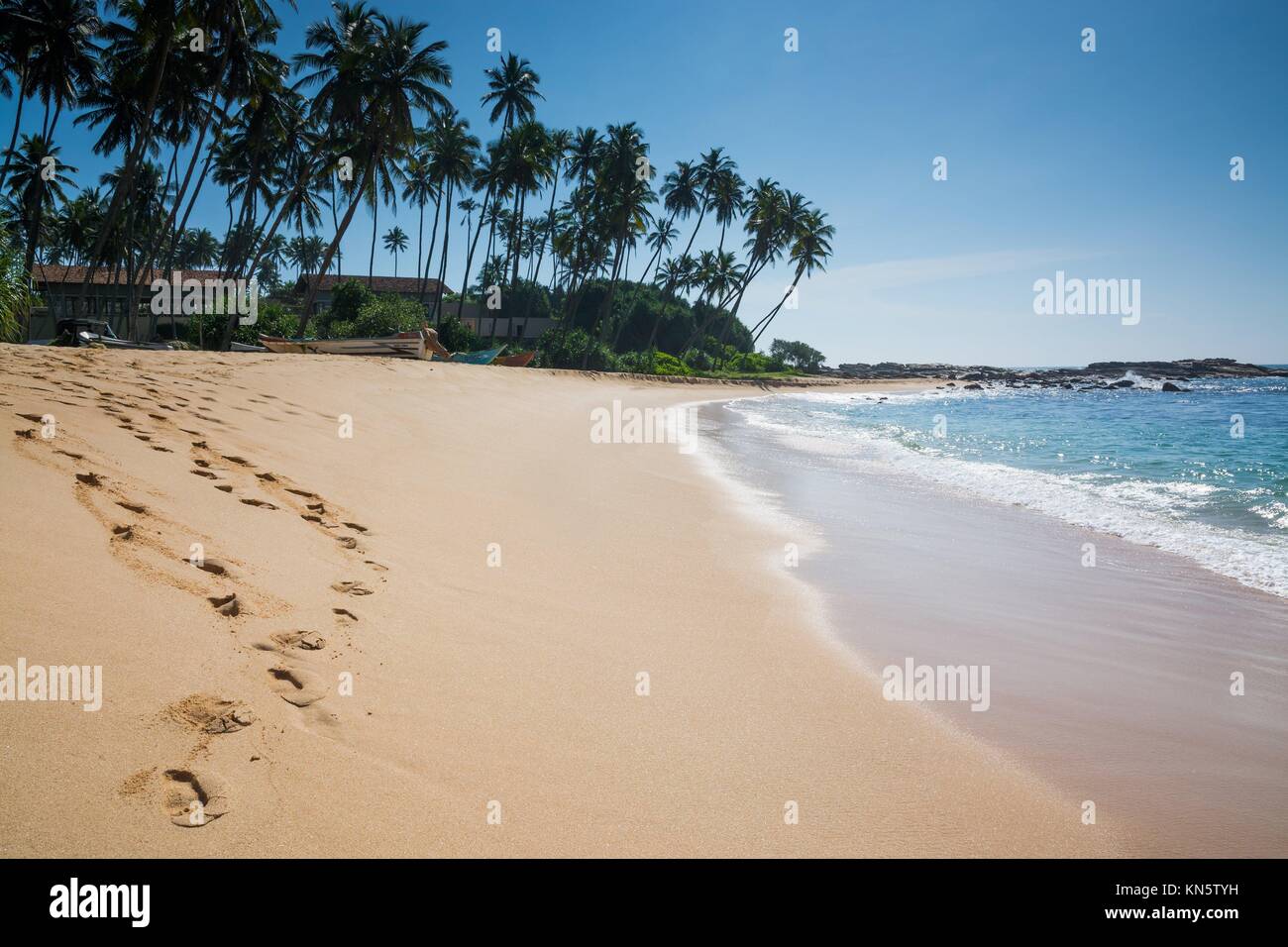 Paradise beach with coconut trees and footprints in golden sand, Tangalle, Southern Province, Sri Lanka, Asia. Stock Photo